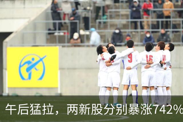 午后猛拉，两新股分别暴涨742%、683%！